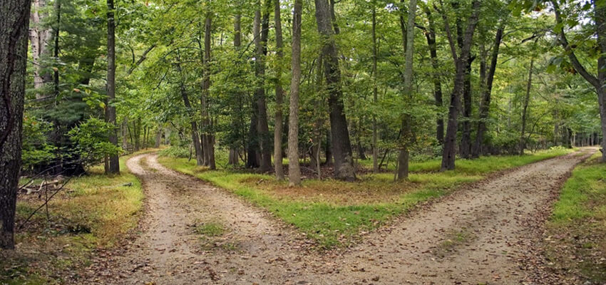 Why is the road, not taken?