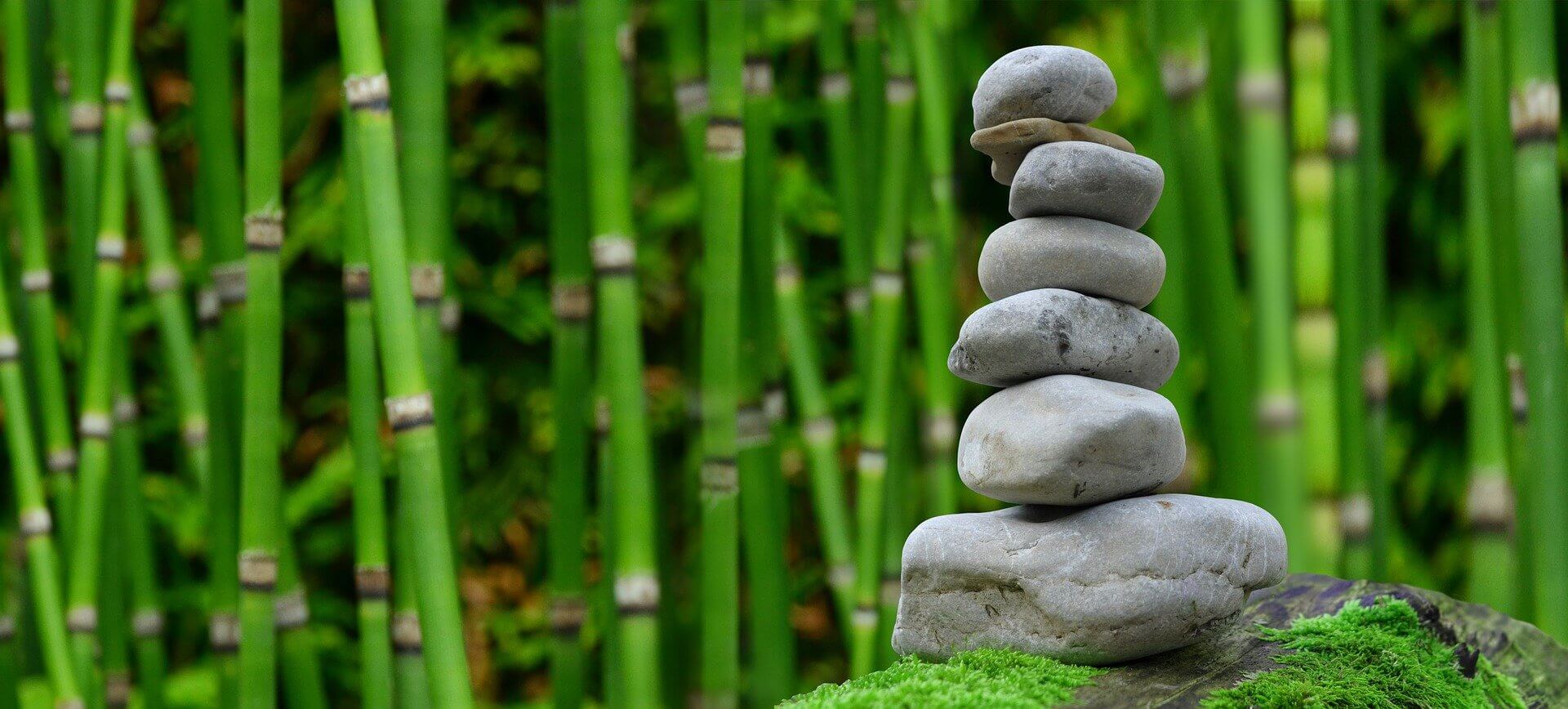 Nature’s Balance Sheet